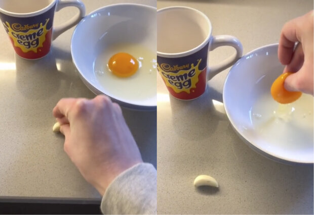 Як відокремити білок від жовтка