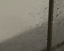 Окна, конденсат, плесень