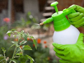 Город, зображення з вільних джерел