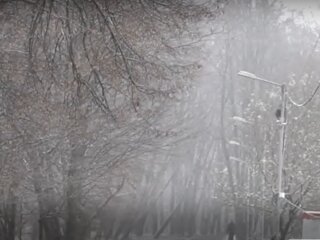 Погода в Украине, фото: кадр из видео