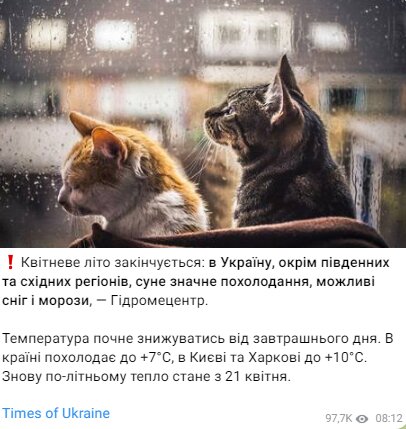 Скрин публікації в Telegram