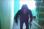 колектор