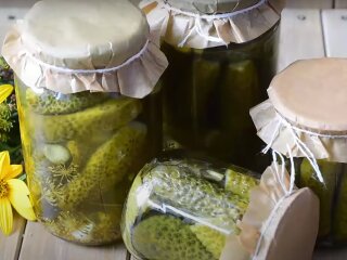 Маринованные огурцы на зиму