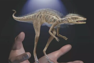 Вчені знайшли крихітного родича динозаврів