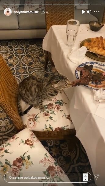 Сторіз Олі Полякової