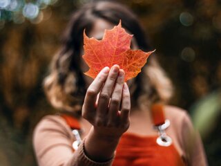 Осінь, фото з вільних джерел