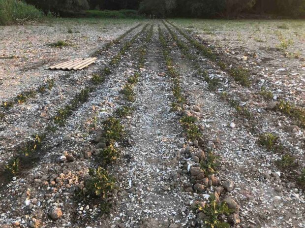 Город на Каховському водосховищі