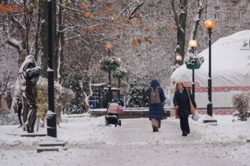 Зима, українці, сніг, фото: Новини. Live