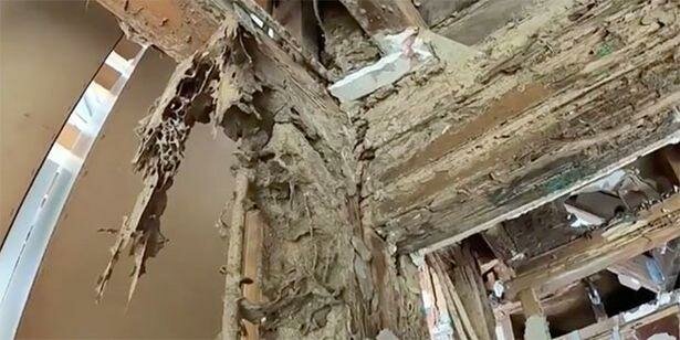 Дім з Термітами