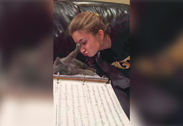 дівчина і кіт