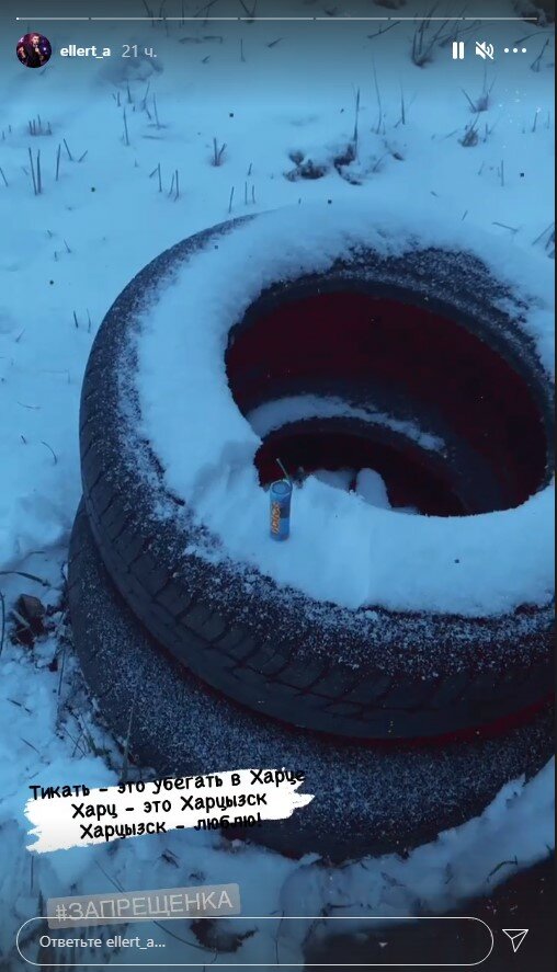 сториз Александра Эллерта