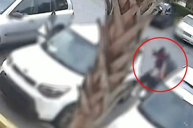 девочка отбила маму у грабителя