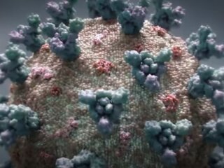 Коронавірус. Фото: скріншот відео