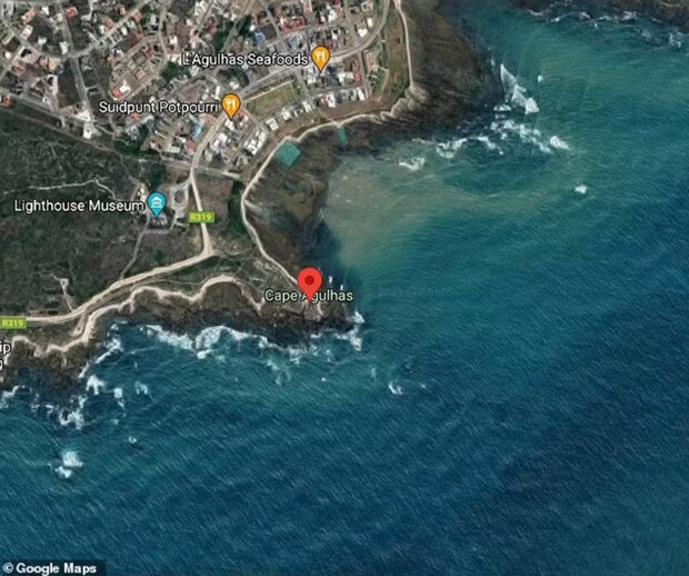 місце, де зловили моторошного паразита