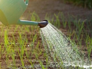 Полив городу, кадр з відео