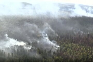 пожежі в Сибіру, Росія
