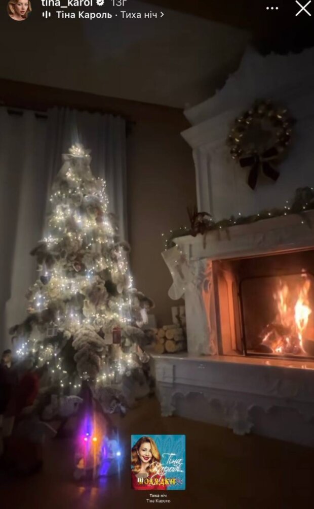 Сториз Тины Кароль