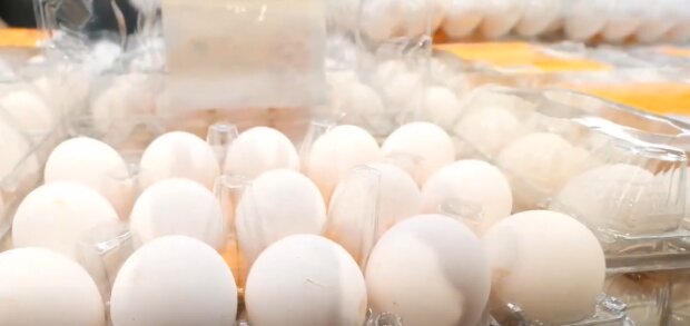 Вартість яєць в Україні
