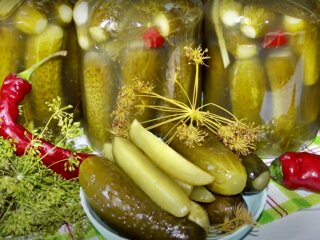 Квашеные огурцы на зиму