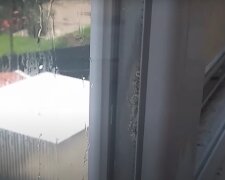 Окно, конденсат