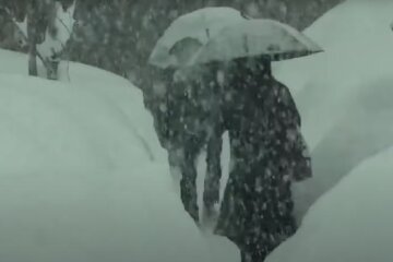 Погода, снегопад, зима