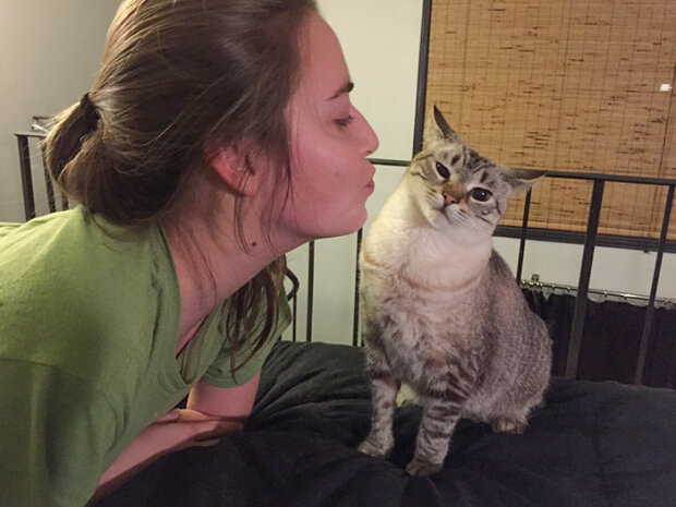 дівчина і кіт