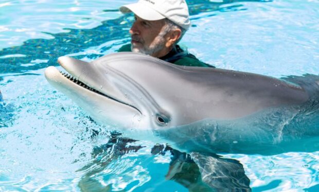 дельфины голые люди