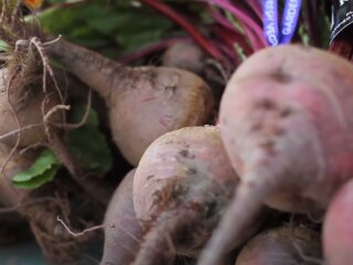 Буряк: скрін з відео