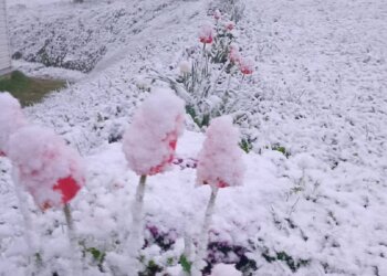 Погода