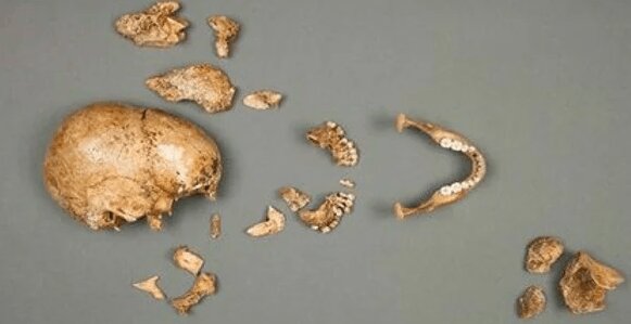 знахідка у величезному сомі