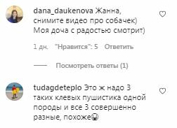 Коментарі на пост Жанни Бадоєвої в Instagram
