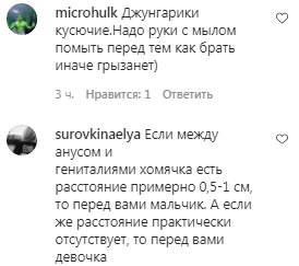 Комментарии на пост Ирины Билык в Instagram