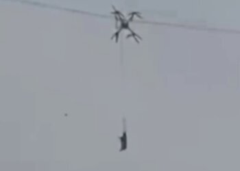 Свинья на дроне вызвала массовые отключения света