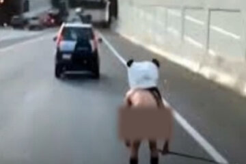 Мир сошел с ума: обнаженный мужчина в маске плюшевой панды ехал на роликах по автомагистрали
