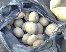 Картопля