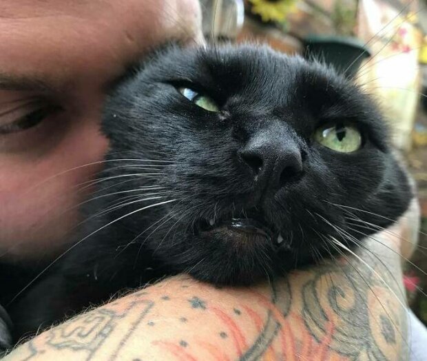 чоловік і кіт