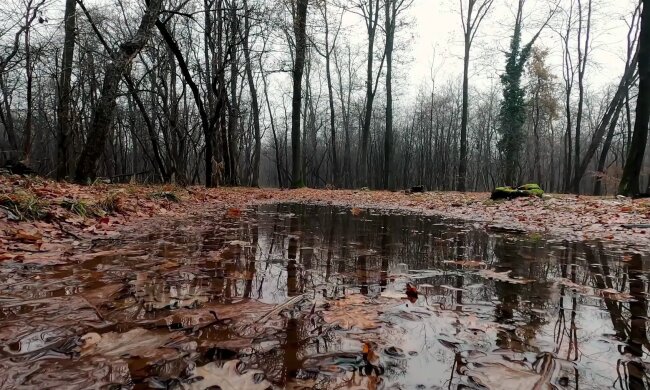 Погода, осень, дожди
