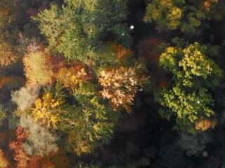 Погода, осінь, бабине літо