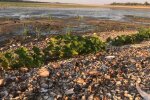 Город на Каховському водосховищі
