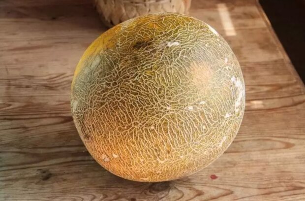 Дыня, кадр из видео