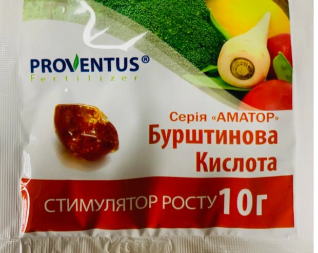 Бурштинова кислота, фото з вільних джерел