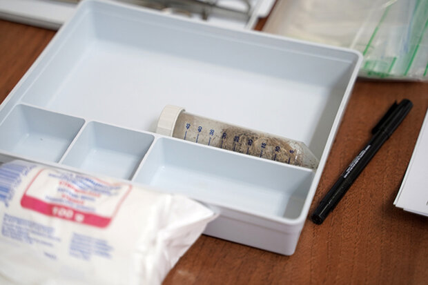 Вчені витягнуть віруси зомбі з трупів древніх тварин