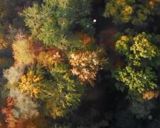 Погода, осень, бабье лето