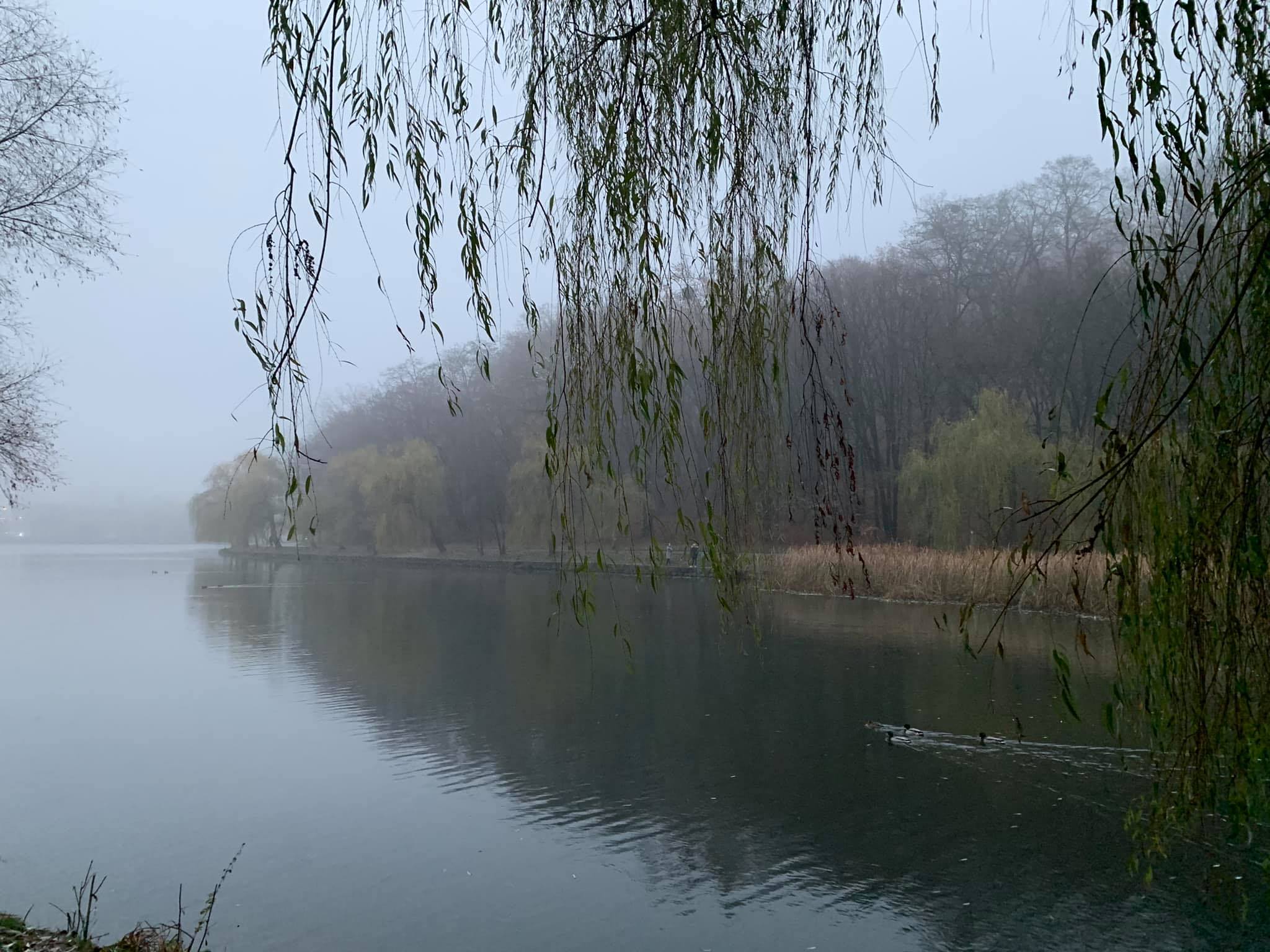 Погода в озерах синоптик. Погода Старая Русса.